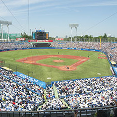 赤っぽい早稲田カラー 何色という 早慶戦 東京六大学野球 のすべて クイズ